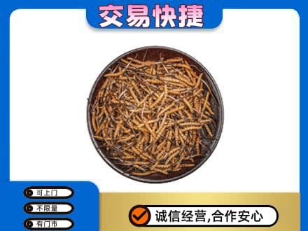 赤峰市林西回收散虫草